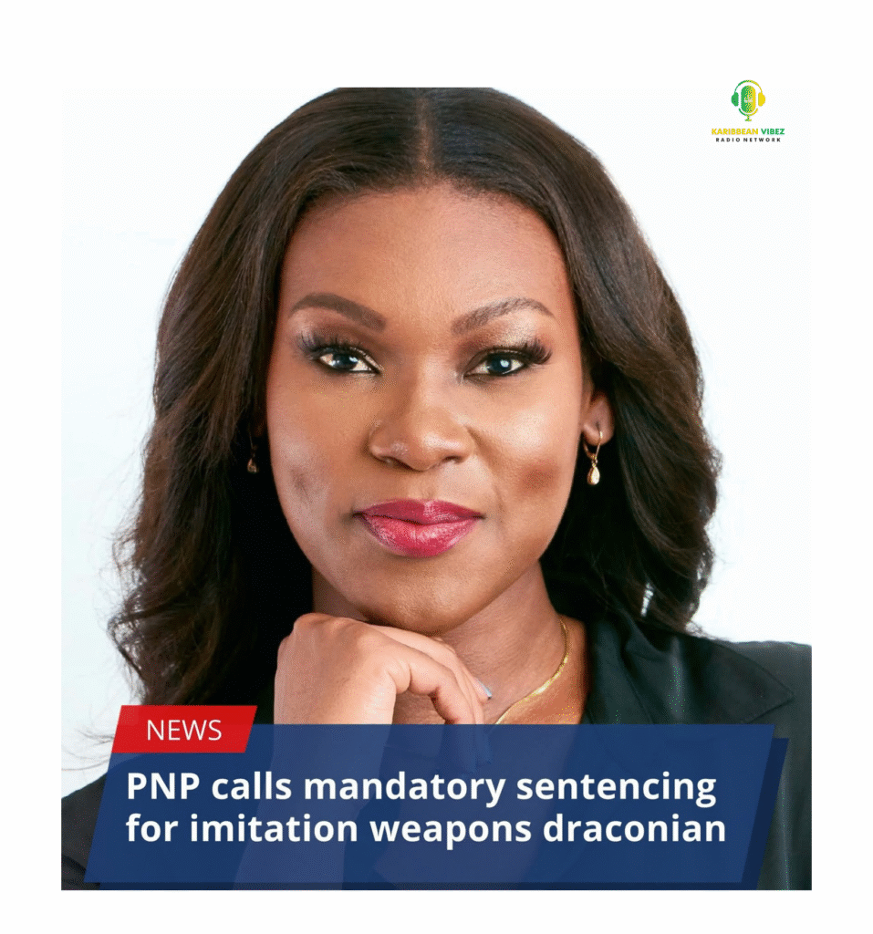 Why the PNP’s pushback on mandatory sentencing for imitation weapons sends the wrong signal.